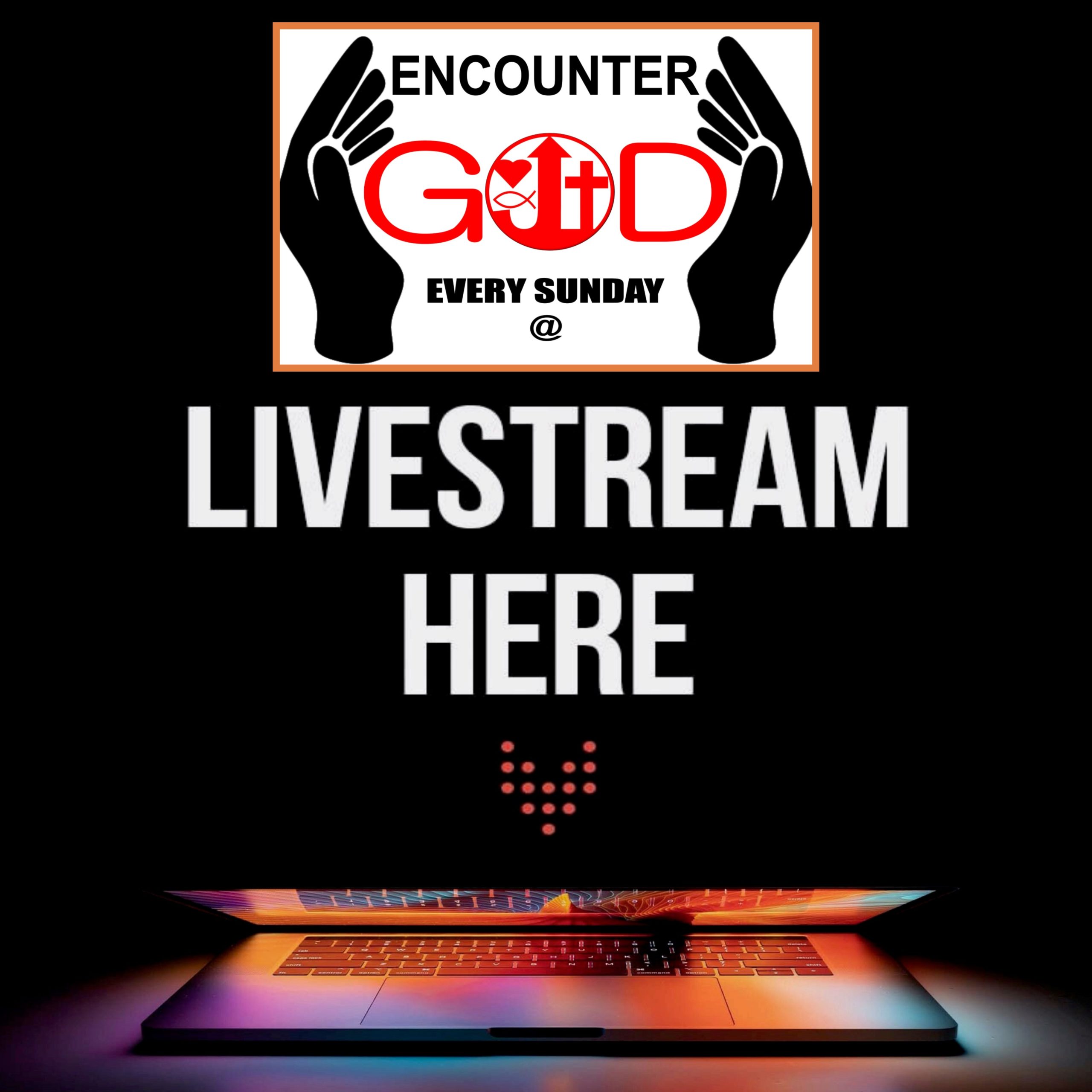 Watch Our Most Recent Livestream Here!